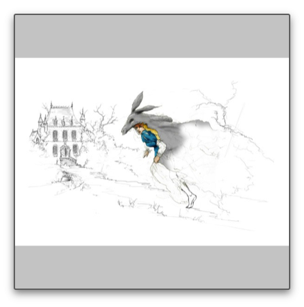 Peau d'âne